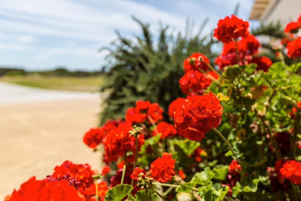 Wytonia Beachfront Accommodation Port Fairy Kültér fotó